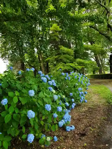三光稲荷神社の自然
