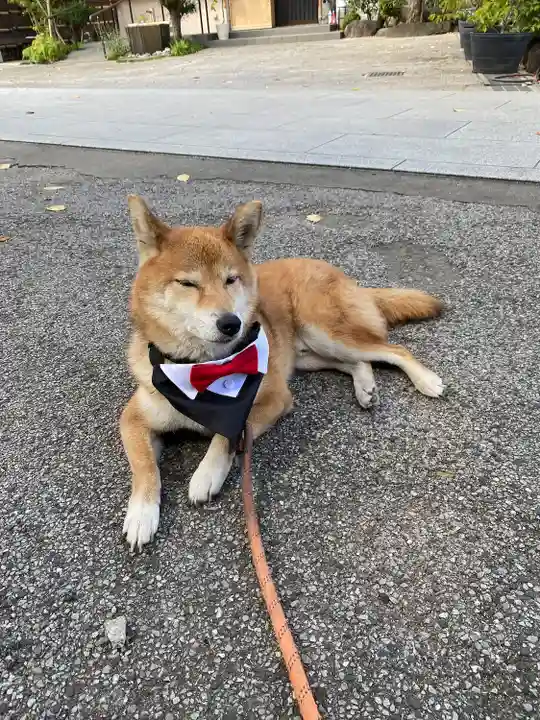 感通寺(東京都)