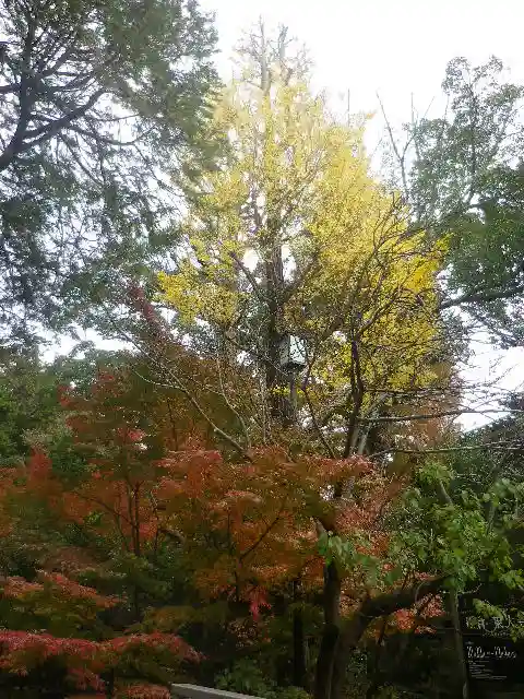 鶴岡八幡宮の自然