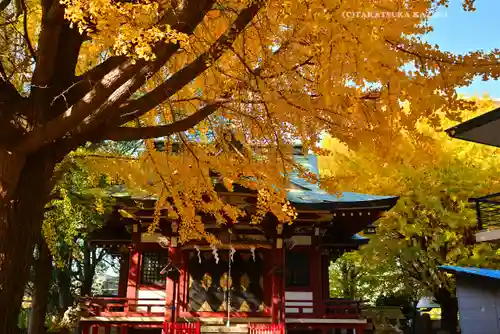 小金八坂神社(千葉県)