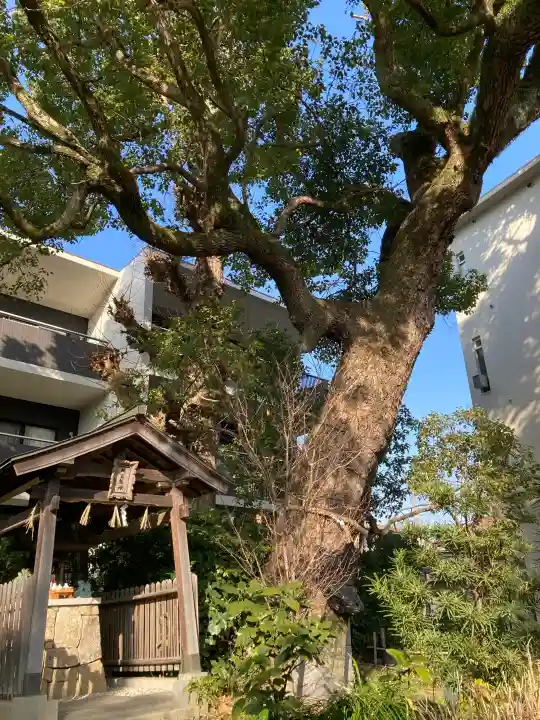 楠玉龍神の{uncategorized: "未分類", other: "その他", undefined: "問題あり", building: "その他建物", grave: "お墓", sacred_gate: "鳥居", guardian: "狛犬", statue: "像", buddha: "仏像", history: "歴史", nature: "自然", garden: "庭園", animal: "動物", pagoda: "塔", temizu: "手水舎", mountain_gate: "山門・神門", sanctuary: "本殿・本堂", subordinate: "末社・摂社", art: "芸術", scenery: "景色", jizo: "地蔵", ema: "絵馬", goshuin: "御朱印", omikuji: "おみくじ", items: "授与品その他", amulet: "お守り", goshuincho: "御朱印帳", eats: "食事", festival: "お祭り", votive_dance: "神楽", shichigosan: "七五三参", wedding: "結婚式", experience: "体験その他", initially: "初詣", around: "周辺", anti_infection: "感染症対策"}