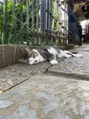 白山神社(東京都)