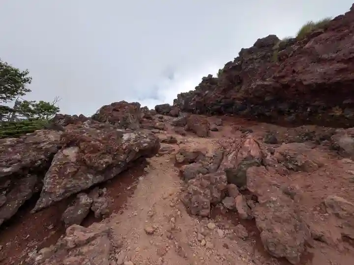 日光二荒山神社奥宮の自然