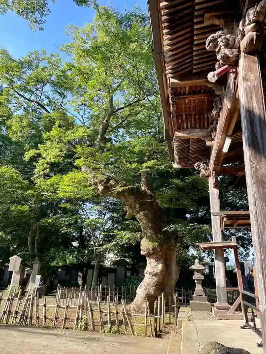 実成寺(福島県)