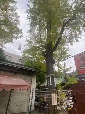 溝口神社(神奈川県)