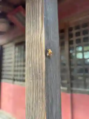 白鳥神社(長野県)