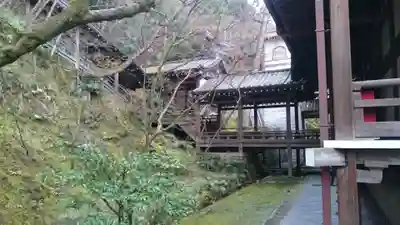 禅林寺（永観堂）の本殿・本堂