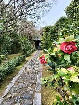 大光院の{uncategorized: "未分類", other: "その他", undefined: "問題あり", building: "その他建物", grave: "お墓", sacred_gate: "鳥居", guardian: "狛犬", statue: "像", buddha: "仏像", history: "歴史", nature: "自然", garden: "庭園", animal: "動物", pagoda: "塔", temizu: "手水舎", mountain_gate: "山門・神門", sanctuary: "本殿・本堂", subordinate: "末社・摂社", art: "芸術", scenery: "景色", jizo: "地蔵", ema: "絵馬", goshuin: "御朱印", omikuji: "おみくじ", items: "授与品その他", amulet: "お守り", goshuincho: "御朱印帳", eats: "食事", festival: "お祭り", votive_dance: "神楽", shichigosan: "七五三参", wedding: "結婚式", experience: "体験その他", initially: "初詣", around: "周辺", anti_infection: "感染症対策"}