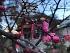 成子天神社の自然