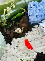 美幌神社(北海道)