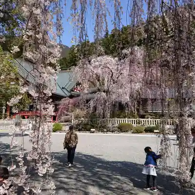 久遠寺(山梨県)