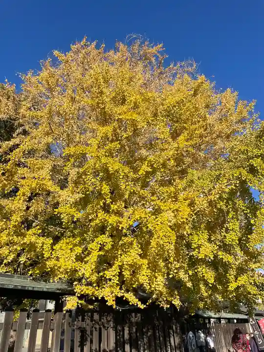 三嶋大社(静岡県)