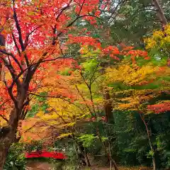 小國神社の自然