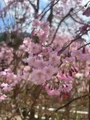 呑山観音寺の{uncategorized: "未分類", other: "その他", undefined: "問題あり", building: "その他建物", grave: "お墓", sacred_gate: "鳥居", guardian: "狛犬", statue: "像", buddha: "仏像", history: "歴史", nature: "自然", garden: "庭園", animal: "動物", pagoda: "塔", temizu: "手水舎", mountain_gate: "山門・神門", sanctuary: "本殿・本堂", subordinate: "末社・摂社", art: "芸術", scenery: "景色", jizo: "地蔵", ema: "絵馬", goshuin: "御朱印", omikuji: "おみくじ", items: "授与品その他", amulet: "お守り", goshuincho: "御朱印帳", eats: "食事", festival: "お祭り", votive_dance: "神楽", shichigosan: "七五三参", wedding: "結婚式", experience: "体験その他", initially: "初詣", around: "周辺", anti_infection: "感染症対策"}