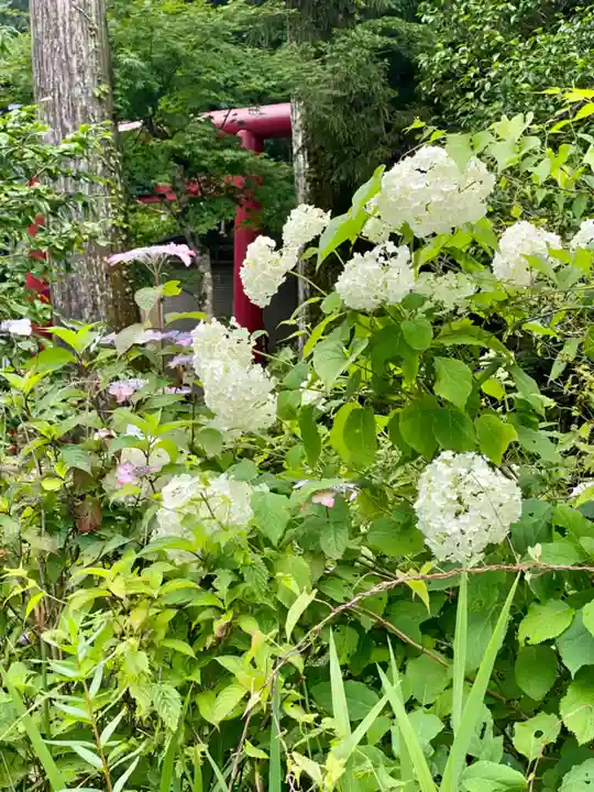 駒形神社(箱根神社摂社)(神奈川県)