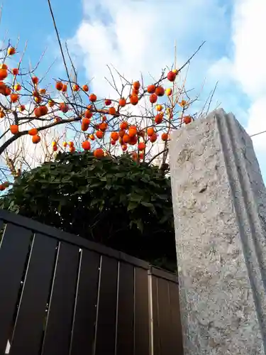 香久山神社の自然