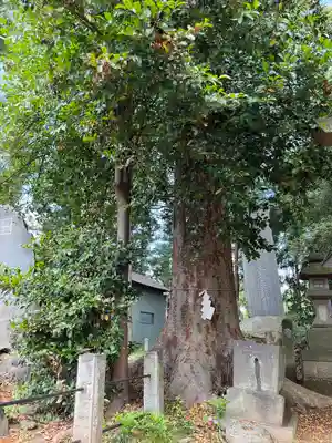 瑳珂比神社(群馬県)