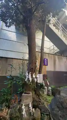 末廣神社の末社・摂社