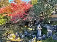 霊鑑寺門跡(京都府)