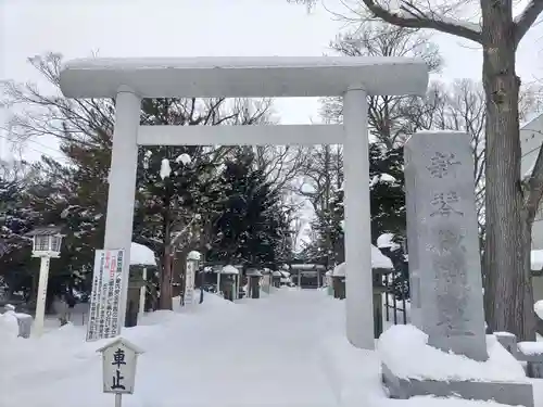 新琴似神社の鳥居