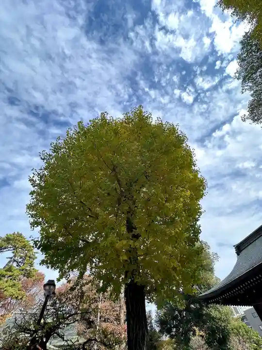 布多天神社(東京都)