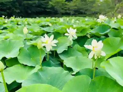 心光寺(三重県)