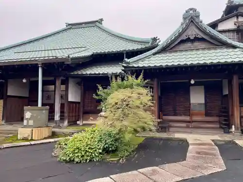 妙圓寺(妙円寺)(東京都)