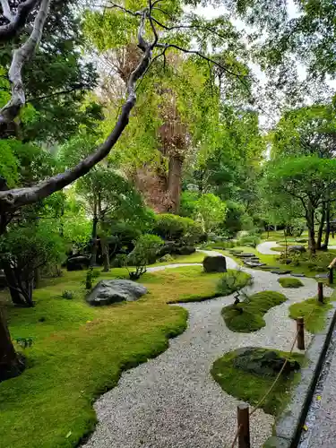 報国寺の庭園