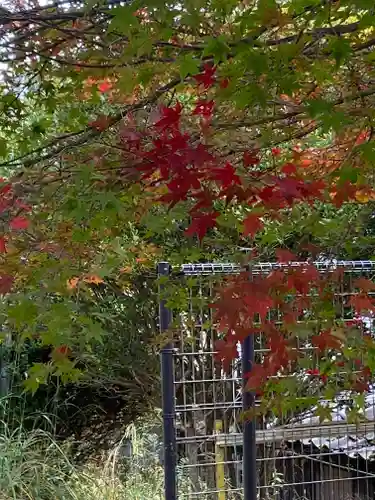 柳谷観音　楊谷寺(京都府)