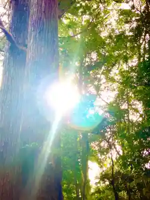 香取神宮奥宮(千葉県)