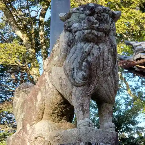 鸕宮神社の狛犬