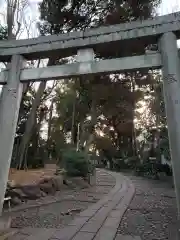 代々木八幡宮の鳥居