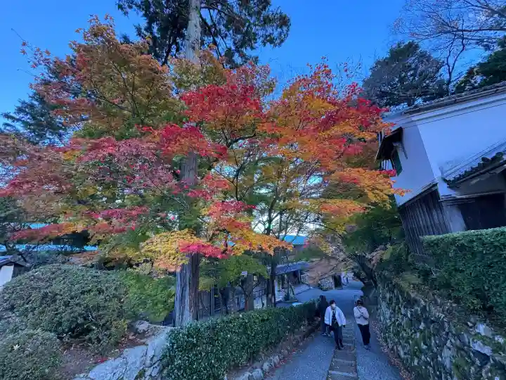西教寺(滋賀県)