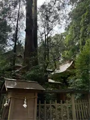 幣立神宮(熊本県)