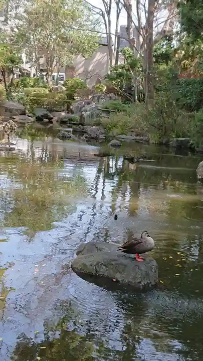 和樂備神社の動物