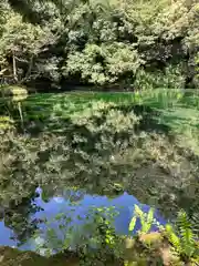 涌釜神社(栃木県)