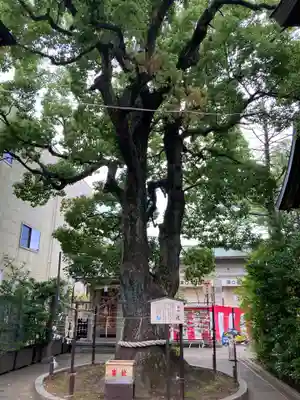 溝口神社(神奈川県)