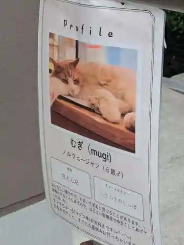 駒込妙義神社(東京都)