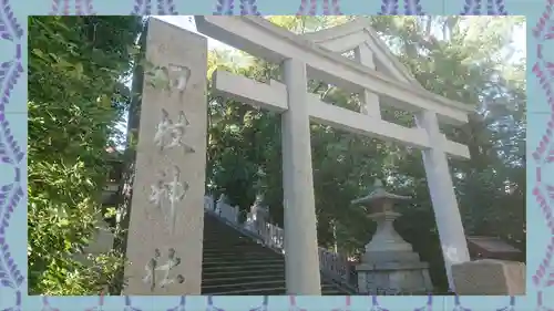日枝神社(東京都)