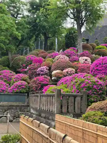 根津神社の{uncategorized: "未分類", other: "その他", undefined: "問題あり", building: "その他建物", grave: "お墓", sacred_gate: "鳥居", guardian: "狛犬", statue: "像", buddha: "仏像", history: "歴史", nature: "自然", garden: "庭園", animal: "動物", pagoda: "塔", temizu: "手水舎", mountain_gate: "山門・神門", sanctuary: "本殿・本堂", subordinate: "末社・摂社", art: "芸術", scenery: "景色", jizo: "地蔵", ema: "絵馬", goshuin: "御朱印", omikuji: "おみくじ", items: "授与品その他", amulet: "お守り", goshuincho: "御朱印帳", eats: "食事", festival: "お祭り", votive_dance: "神楽", shichigosan: "七五三参", wedding: "結婚式", experience: "体験その他", initially: "初詣", around: "周辺", anti_infection: "感染症対策"}
