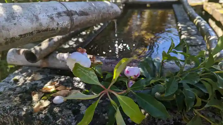 大原寺勝林院(京都府)