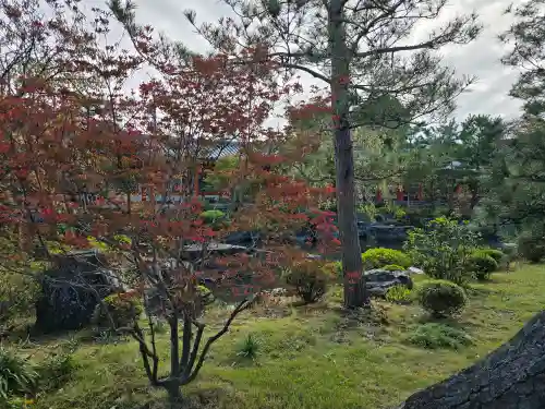 蓮華王院（三十三間堂）(京都府)