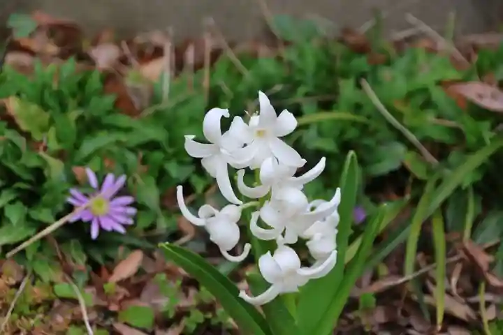 阿邪訶根神社の自然