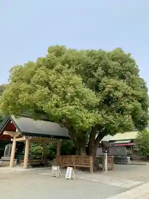 和泉國一之宮　大鳥大社(大阪府)