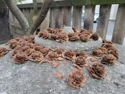 氷川鍬神社の自然