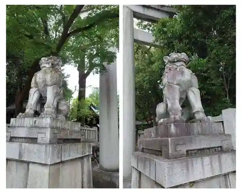 秩父神社の狛犬