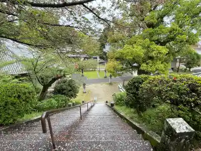 観音寺(香川県)