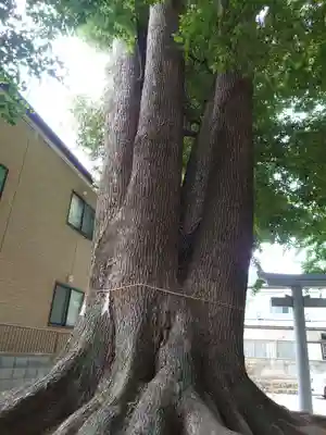 宮鍋神社(群馬県)