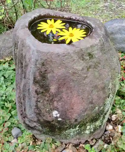 今市報徳二宮神社の手水舎