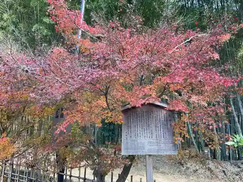 直指庵(京都府)